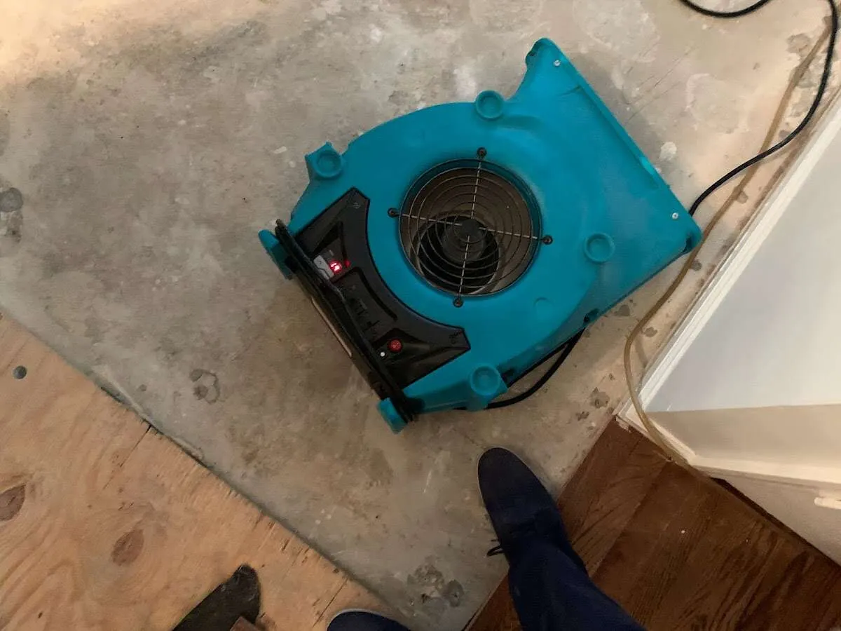 Air mover drying subfloor during Leak Detection & Repair in CaÃ±on City